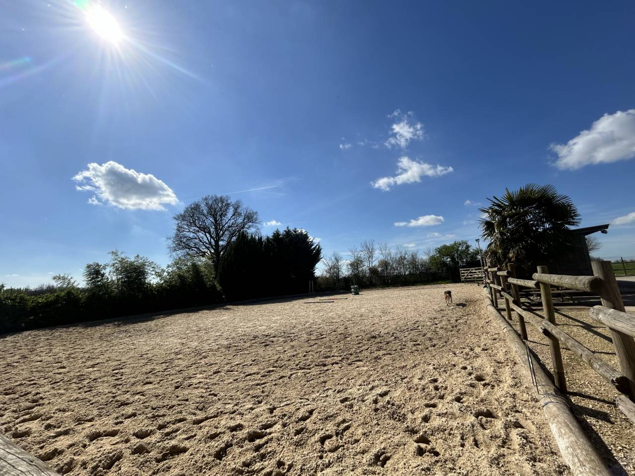 Domaine équestre sur 3 ha