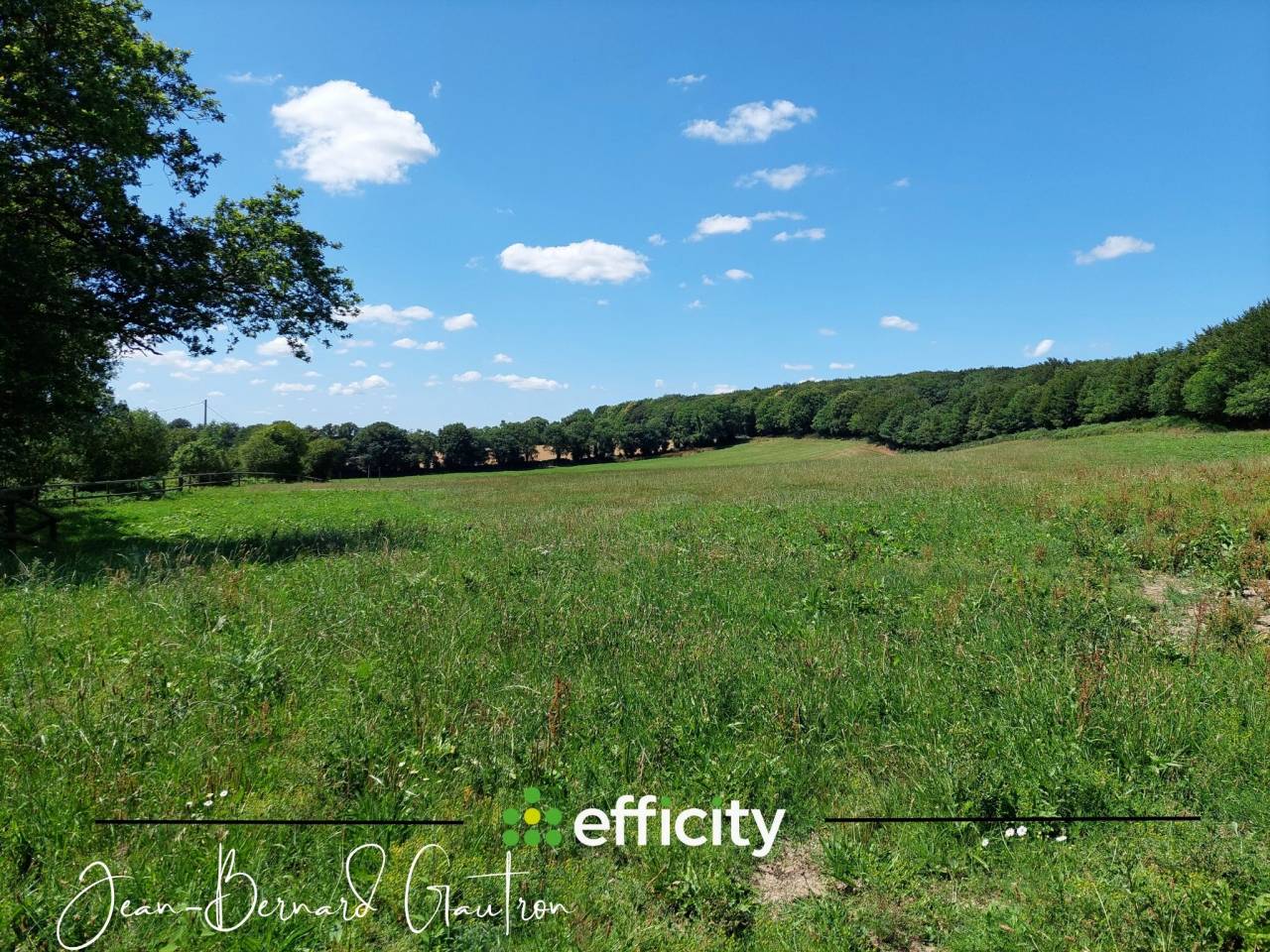 PROPRIÉTÉ ÉQUESTRE 6 PIÈCES 4 CHAMBRES 156m² 29 HA