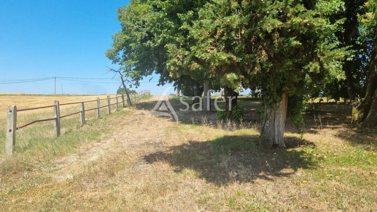 Proche Condom centre - Propriété de 18 ha