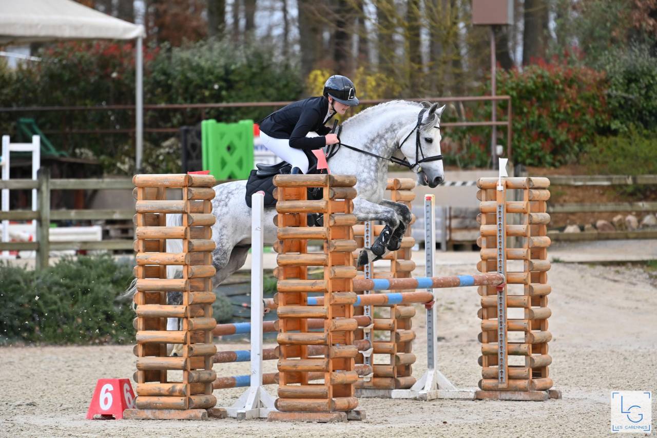 PONEY ÉTALON CCE CHAMPION DE FRANCE P ÉLITE D JUNIOR
