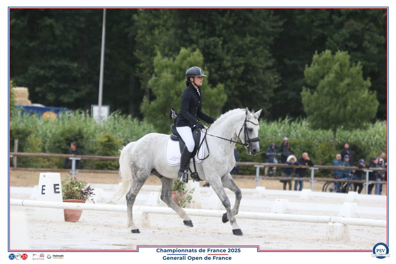 PONEY ÉTALON CCE CHAMPION DE FRANCE P ÉLITE D JUNIOR