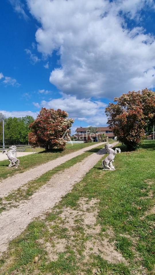 Gîte équestre idéal accueil groupes et gîtes ruraux