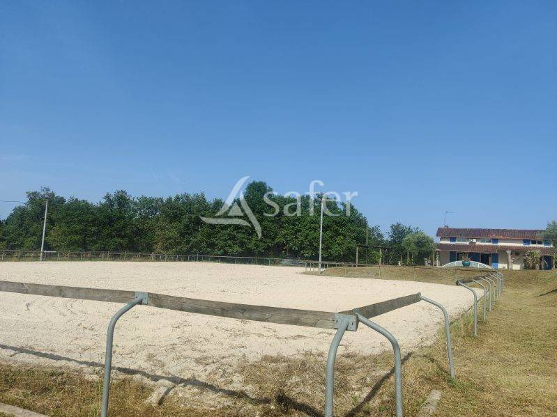 Gîte équestre idéal accueil groupes et gîtes ruraux