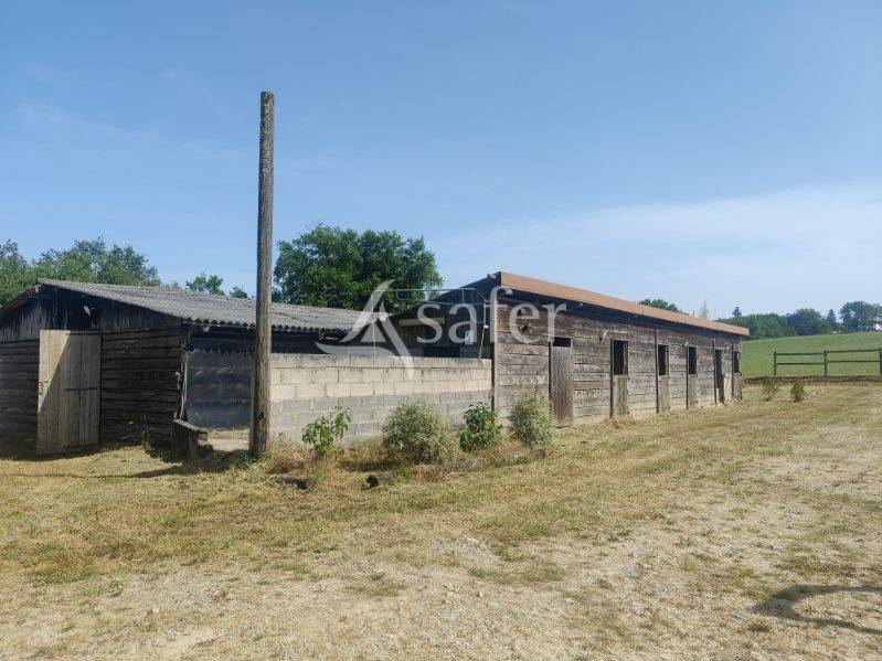 Gîte équestre idéal accueil groupes et gîtes ruraux