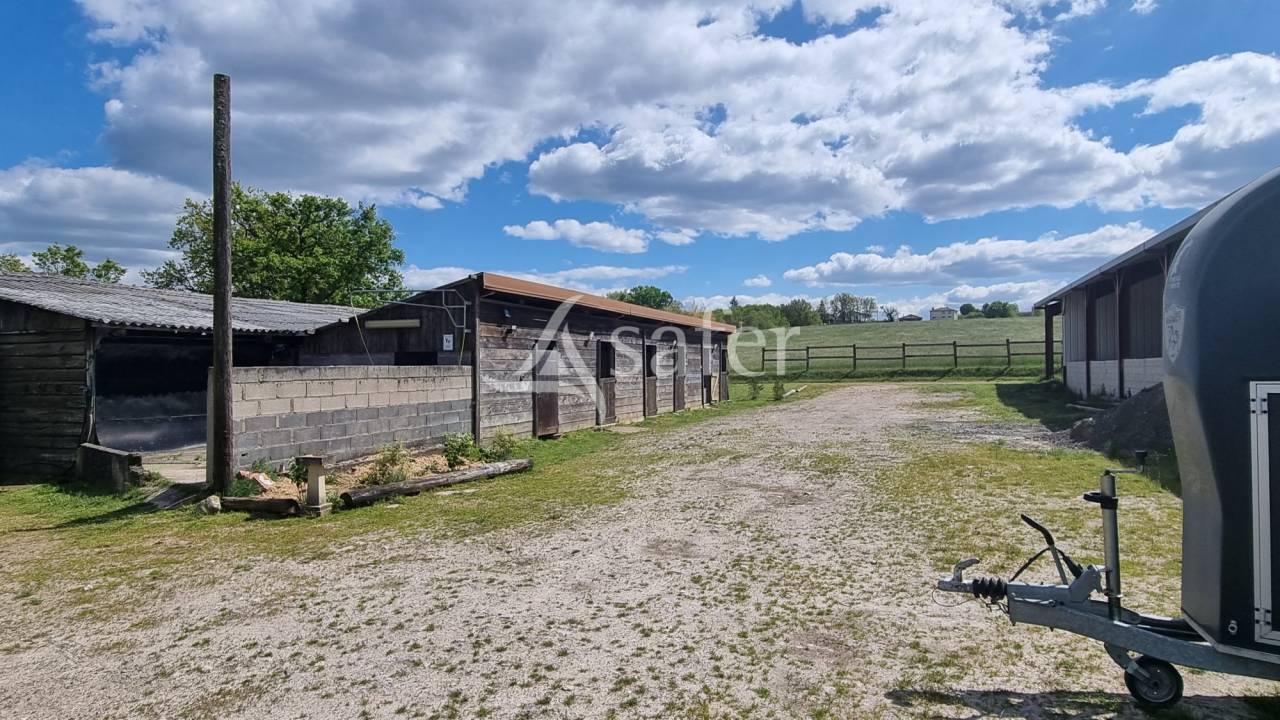 Gîte équestre idéal accueil groupes et gîtes ruraux