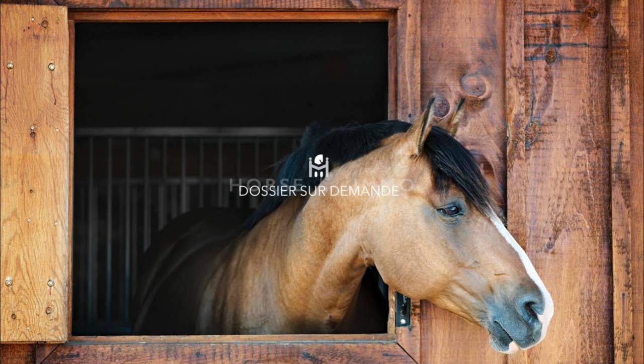 Magnifique Domaine Equestre en Touraine
