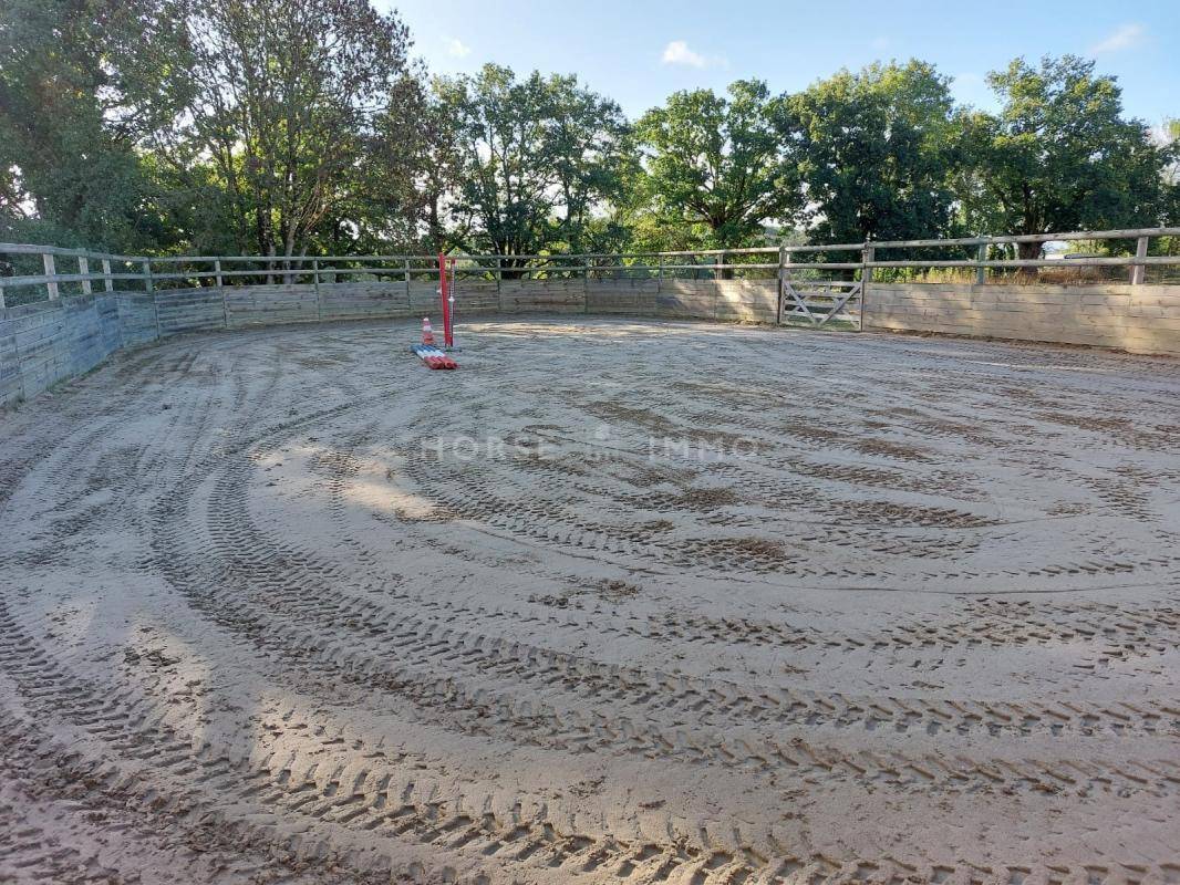 Haras Fonctionnel et Moderne pour Projet Équestre