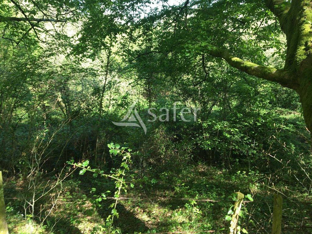 Propriété bâtie composée de 3 maisons et environ 8 ha de fon