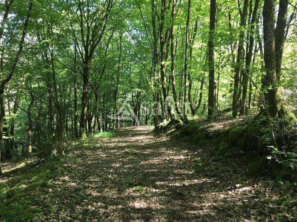 Propriété bâtie composée de 3 maisons et environ 8 ha de fon