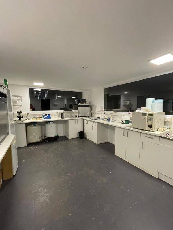 Haras de Reproduction Cl&eacute; en Main sur 52 ha dans le Morbihan (5