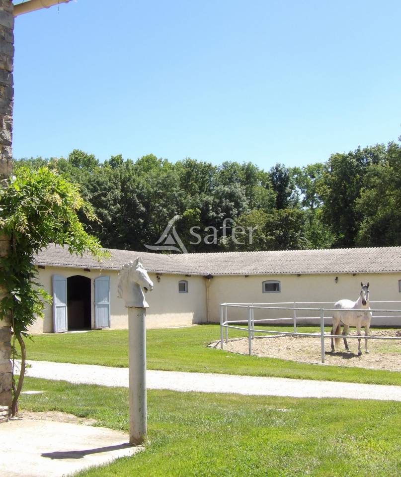 Propriété équestre proche Paris - 9ha