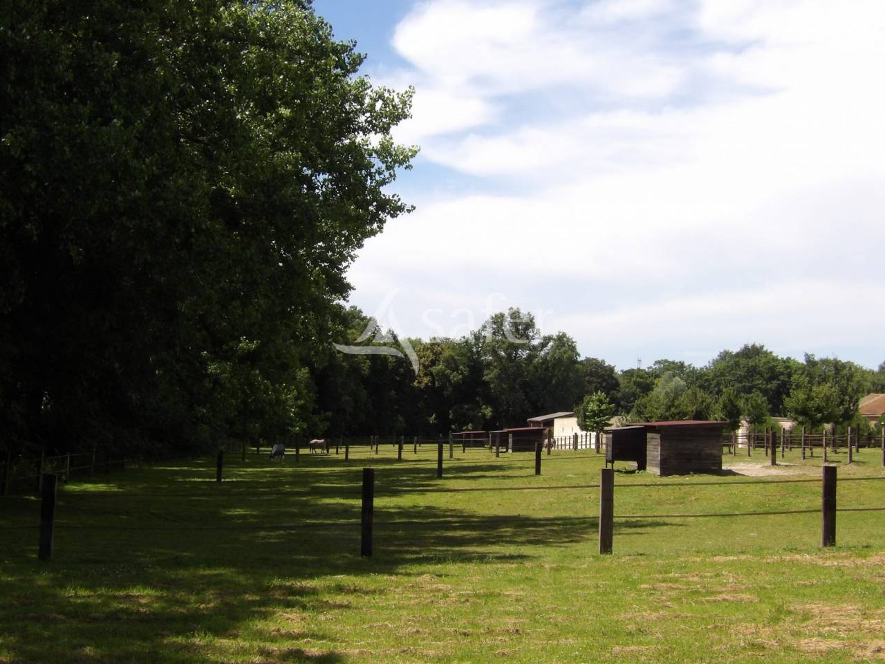 Propriété équestre proche Paris - 9ha