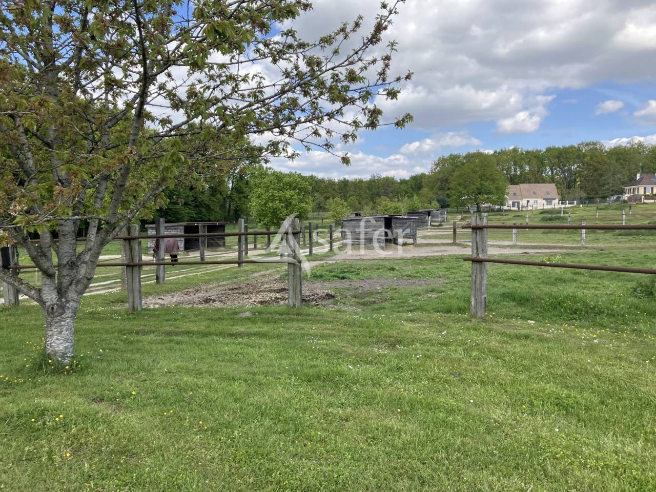 Propriété équestre proche Paris - 9ha