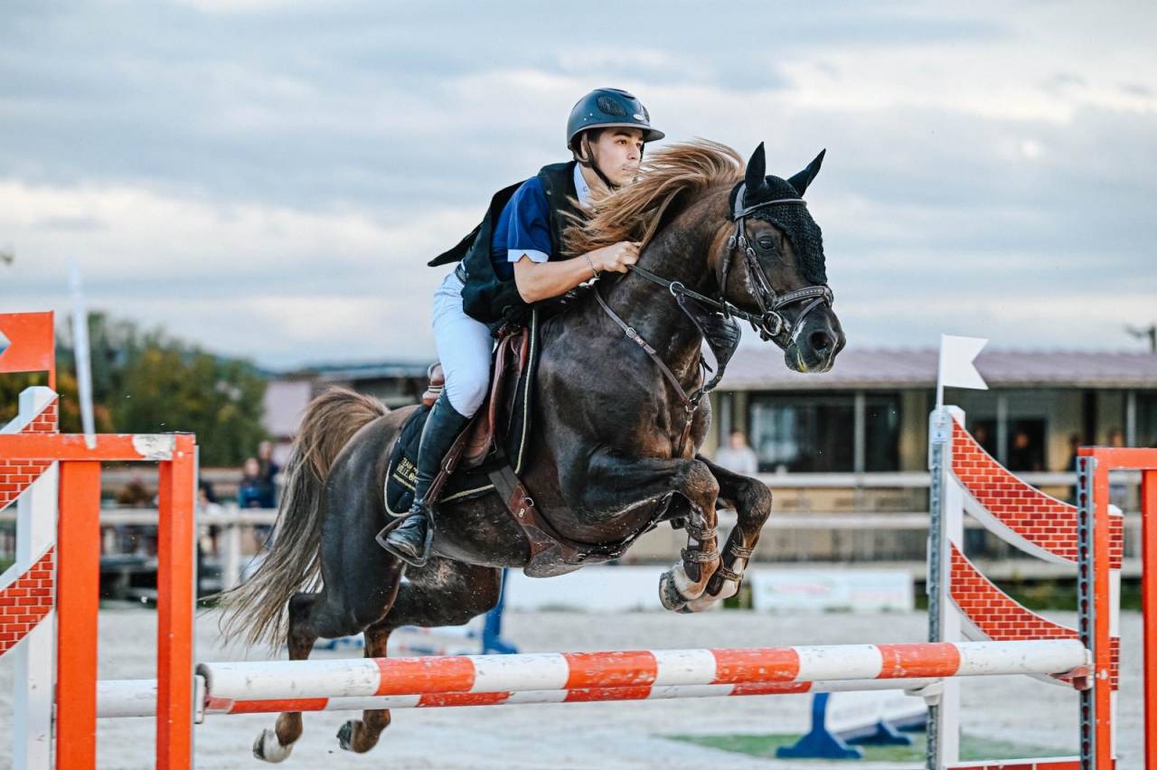 Super poney C à vendre 