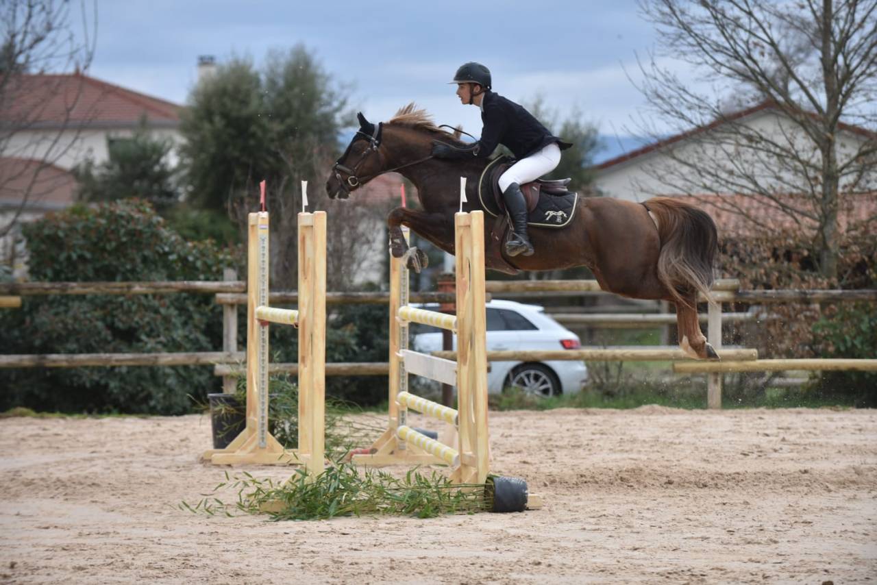 Super poney C à vendre 