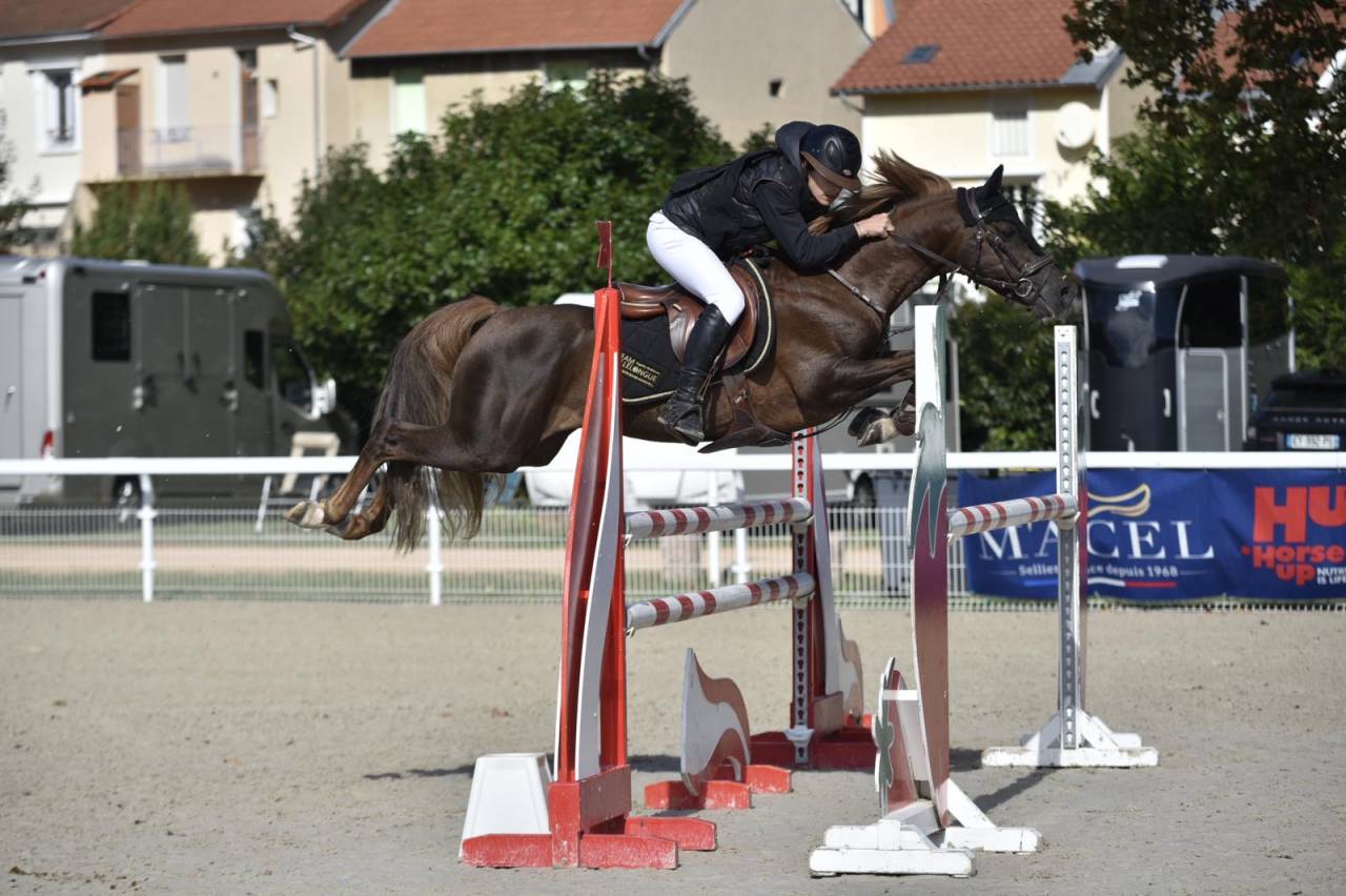 Super poney C à vendre 