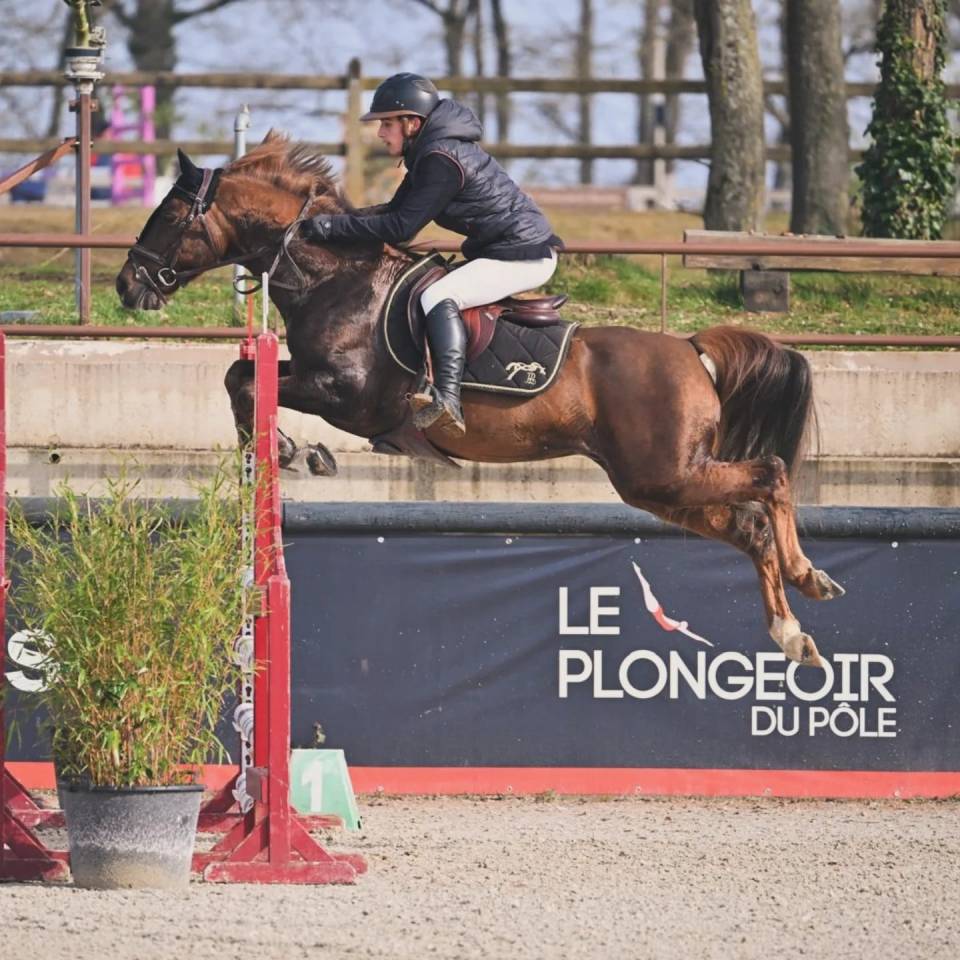 Super poney C à vendre 