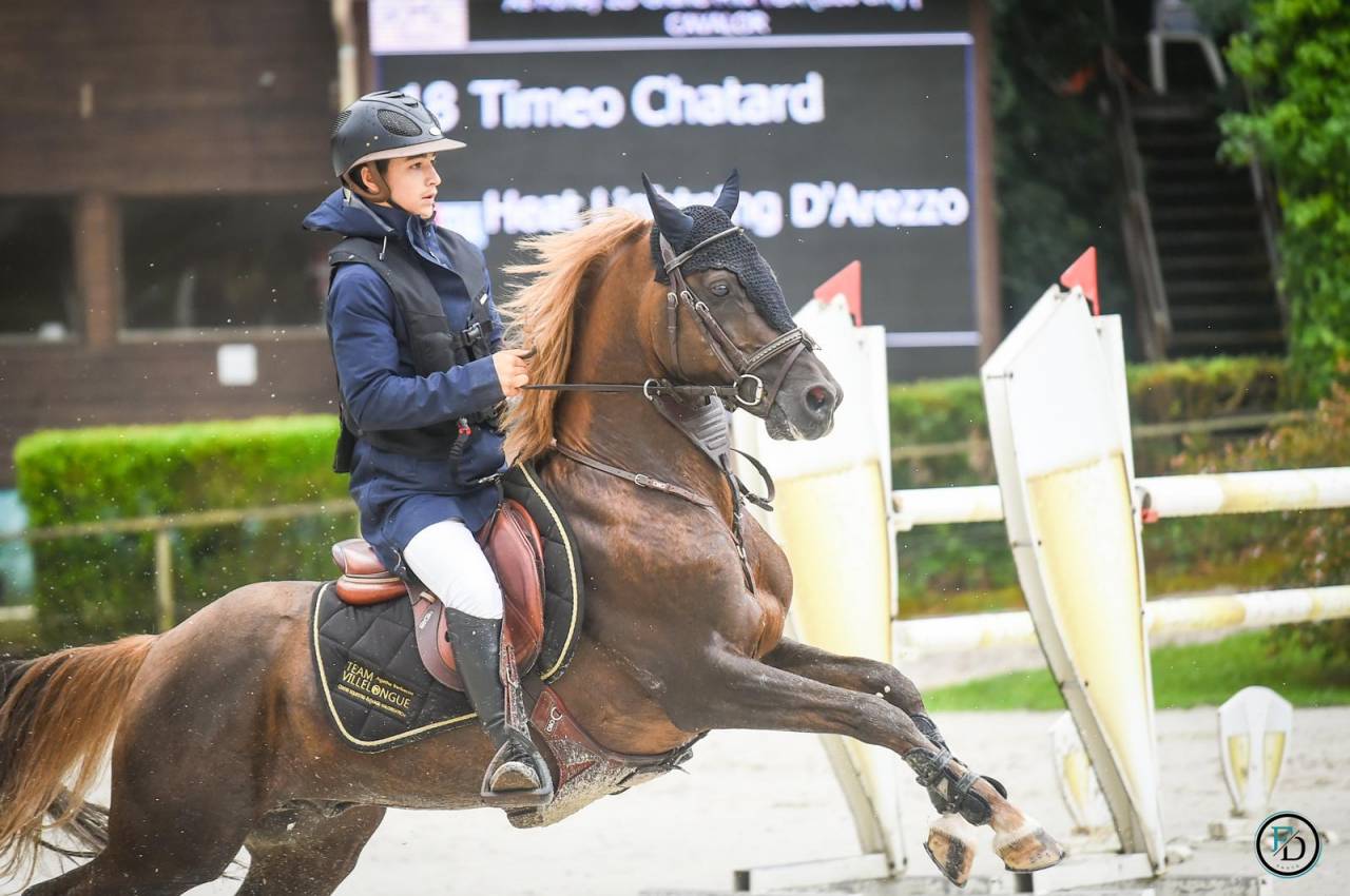 Super poney C à vendre 