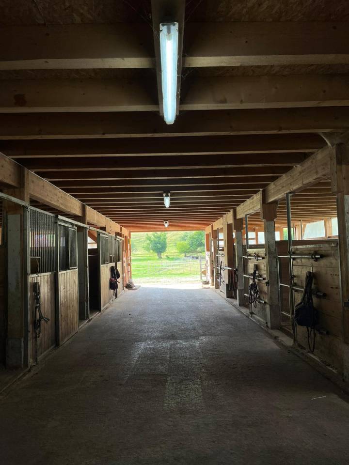 Boxes à louer / Boxen zu vermieten