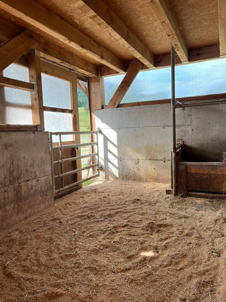 Boxes à louer / Boxen zu vermieten