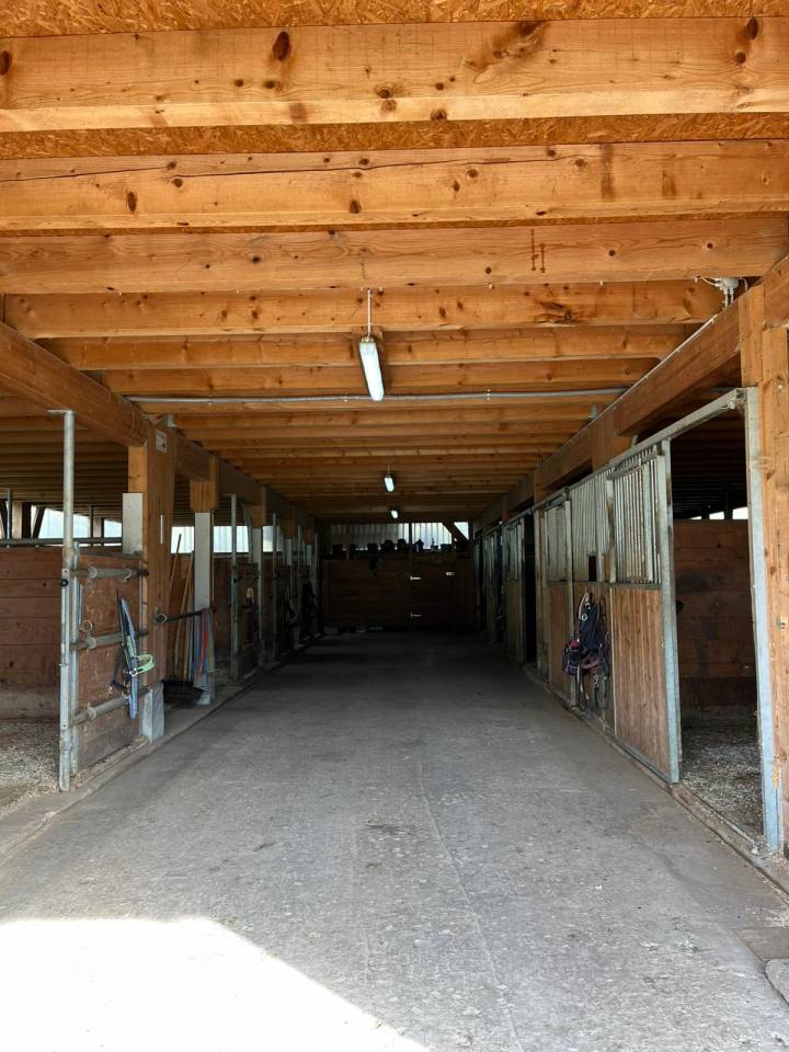 Boxes à louer / Boxen zu vermieten