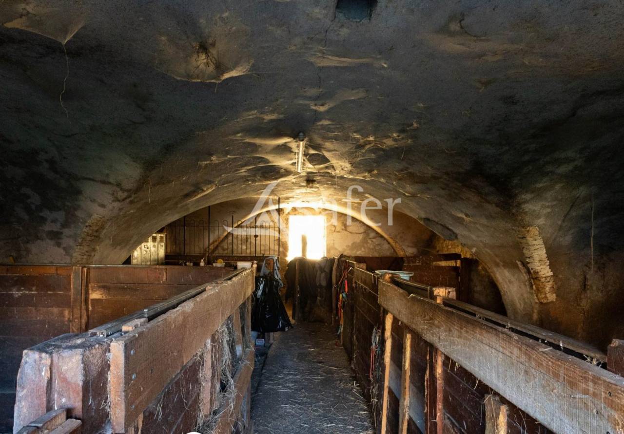 Propriété de prestige et dépendances RIOM