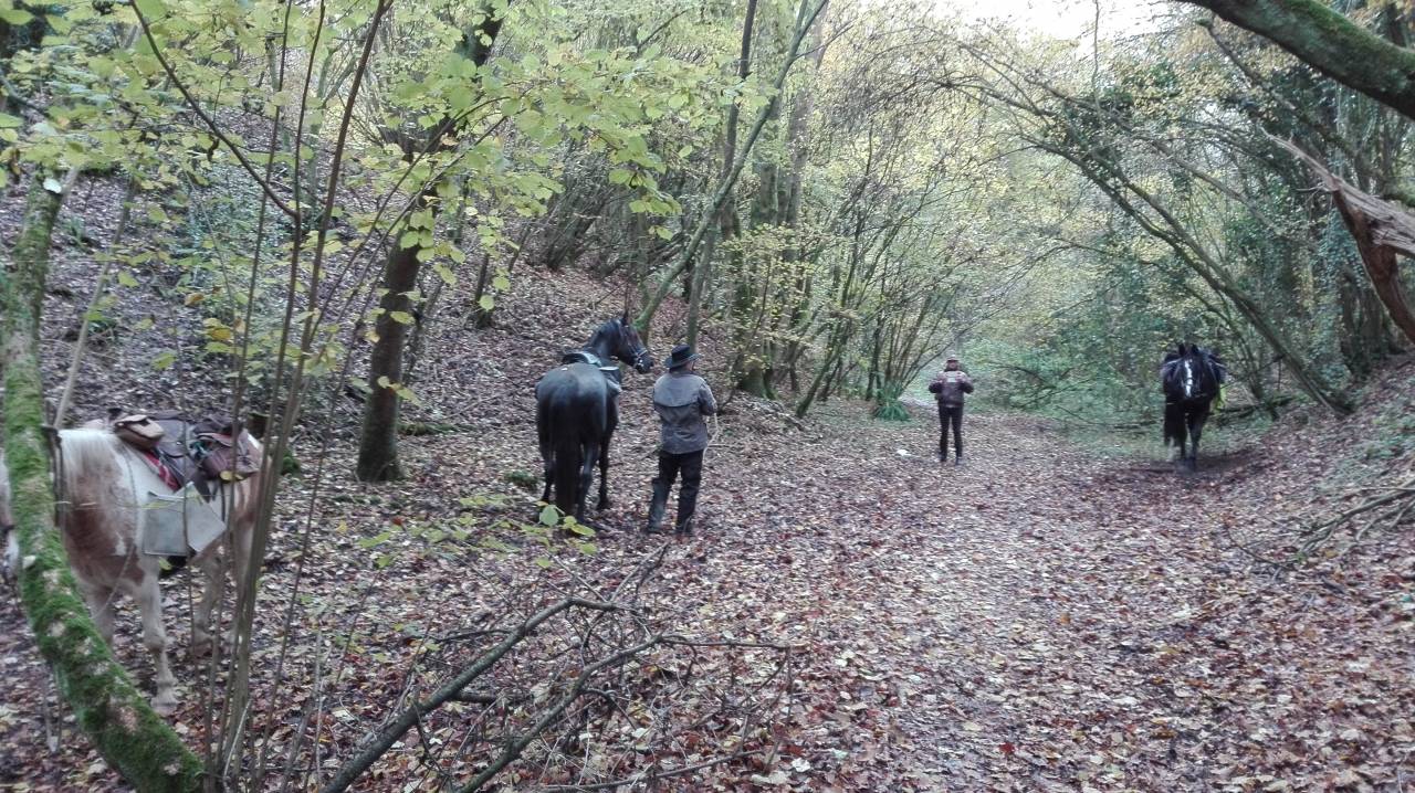 RANDONNEES A CHEVAL dans la Vallée de la SOMME