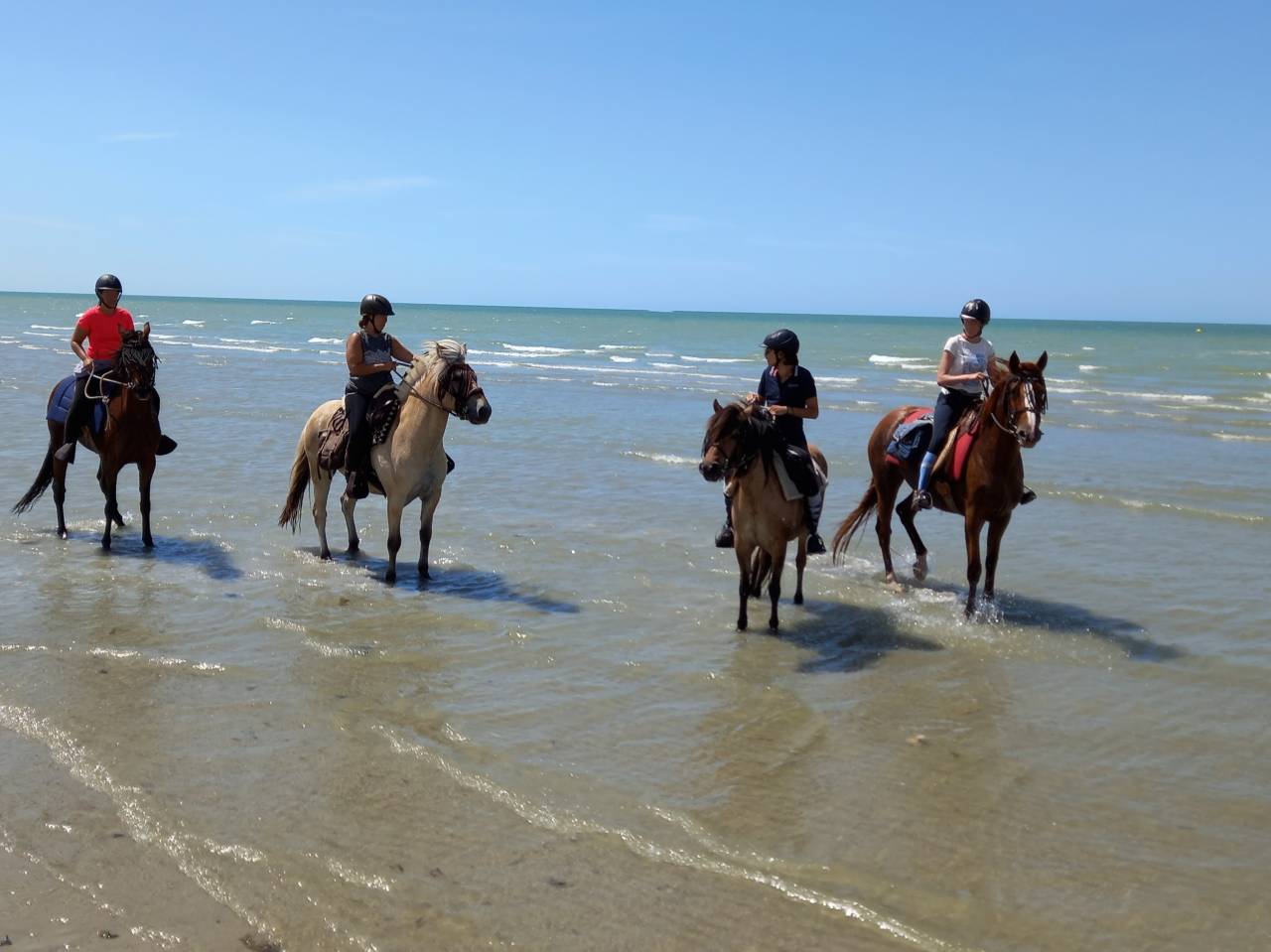 RANDONNEES A CHEVAL dans la Vallée de la SOMME