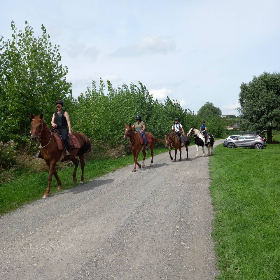 RANDONNEES A CHEVAL dans la Vallée de la SOMME