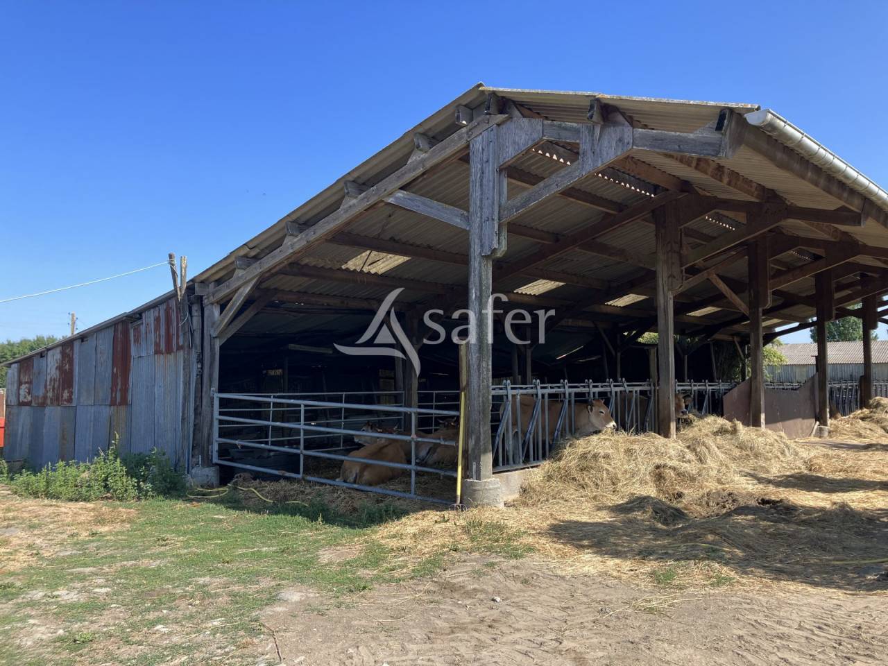 Exploitation agricole de charme aux portes d'Angers - vente de 4
