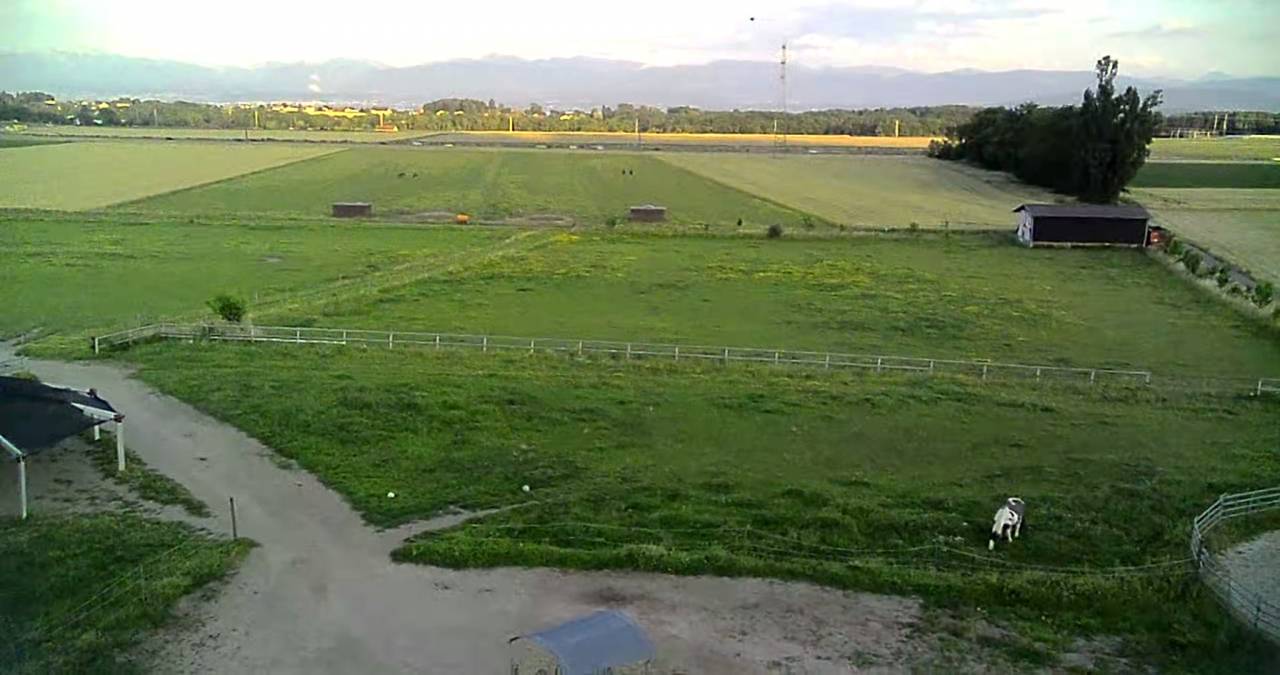 Pension dans ecurie active en troupeau sur herbe