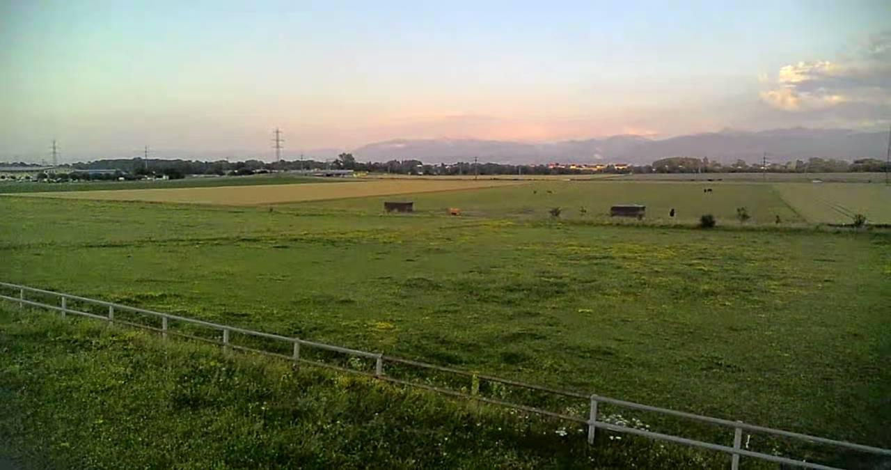 Pension dans ecurie active en troupeau sur herbe