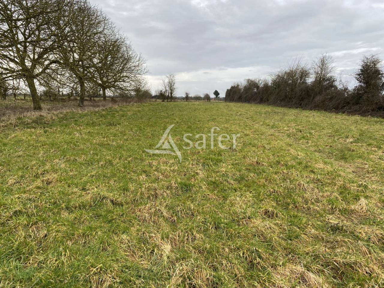 Propriété équestre