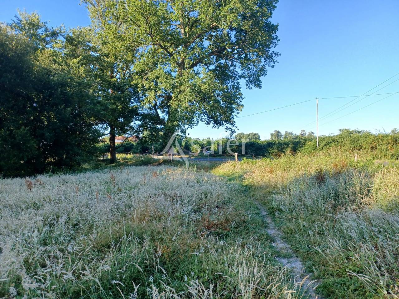 PARCELLES DE PRAIRIES BOISEES A PROXIMITE D'UN RUISSEAU ET COMPR