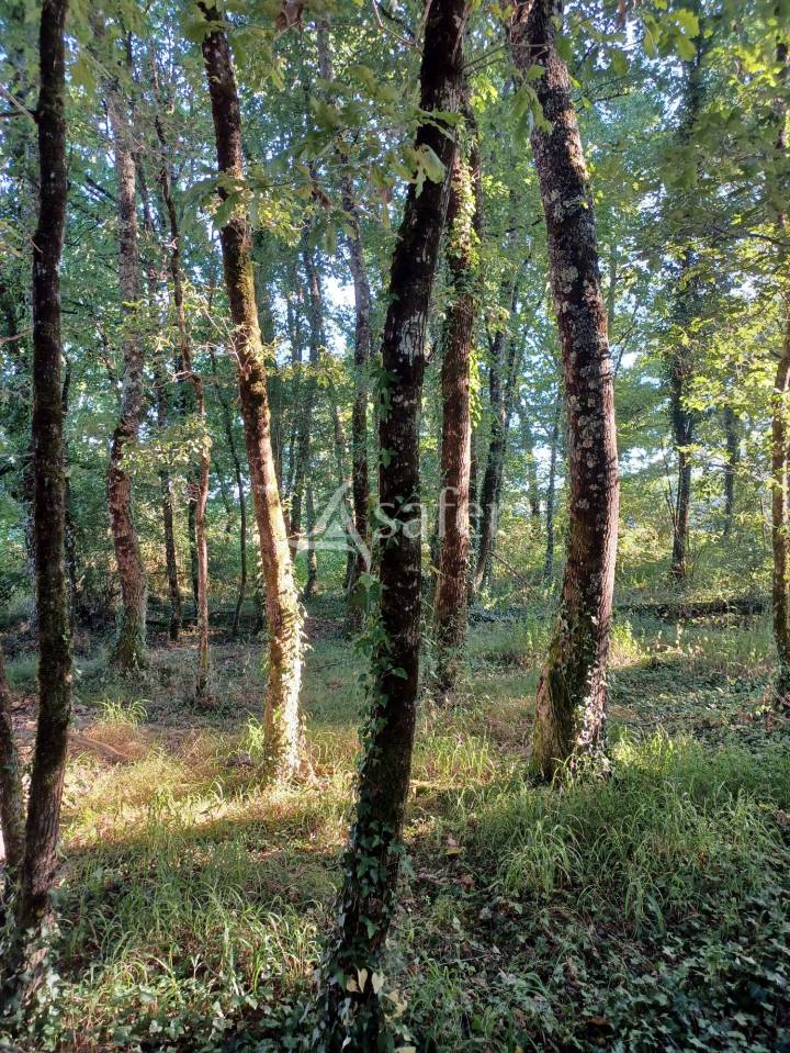 PARCELLES DE PRAIRIES BOISEES A PROXIMITE D'UN RUISSEAU ET COMPR