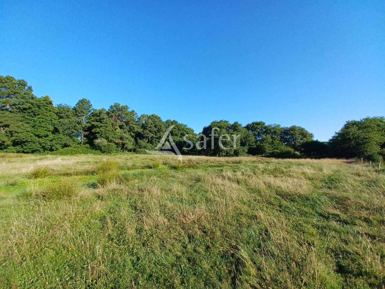 PARCELLES DE PRAIRIES BOISEES A PROXIMITE D'UN RUISSEAU ET COMPR