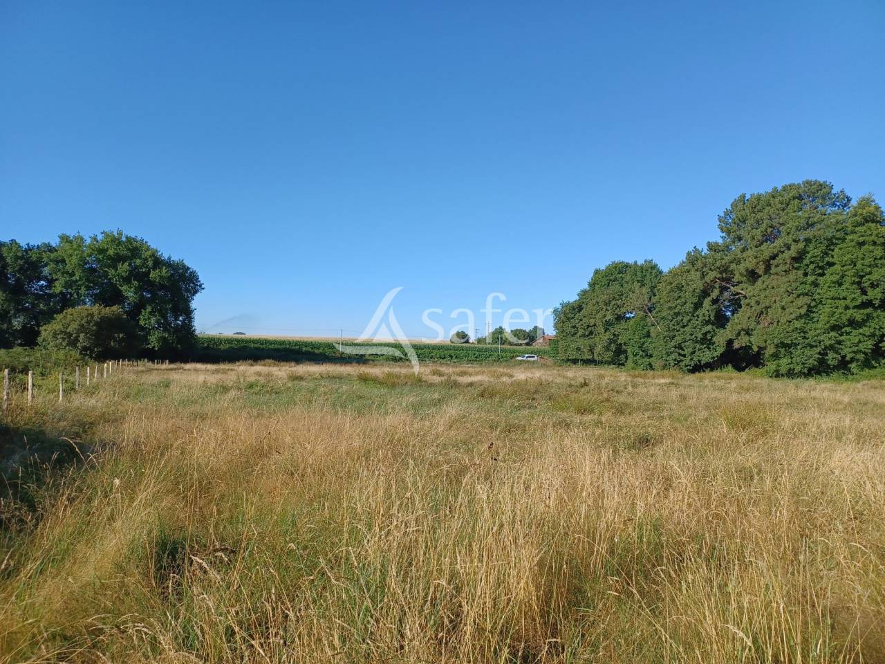 PARCELLES DE PRAIRIES BOISEES A PROXIMITE D'UN RUISSEAU ET COMPR