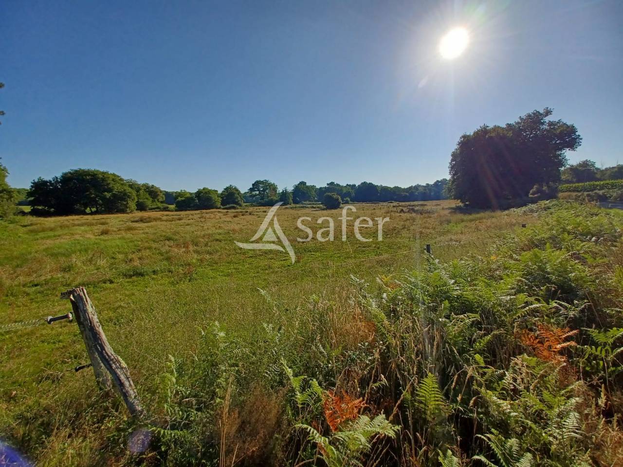 PARCELLES DE PRAIRIES BOISEES A PROXIMITE D'UN RUISSEAU ET COMPR