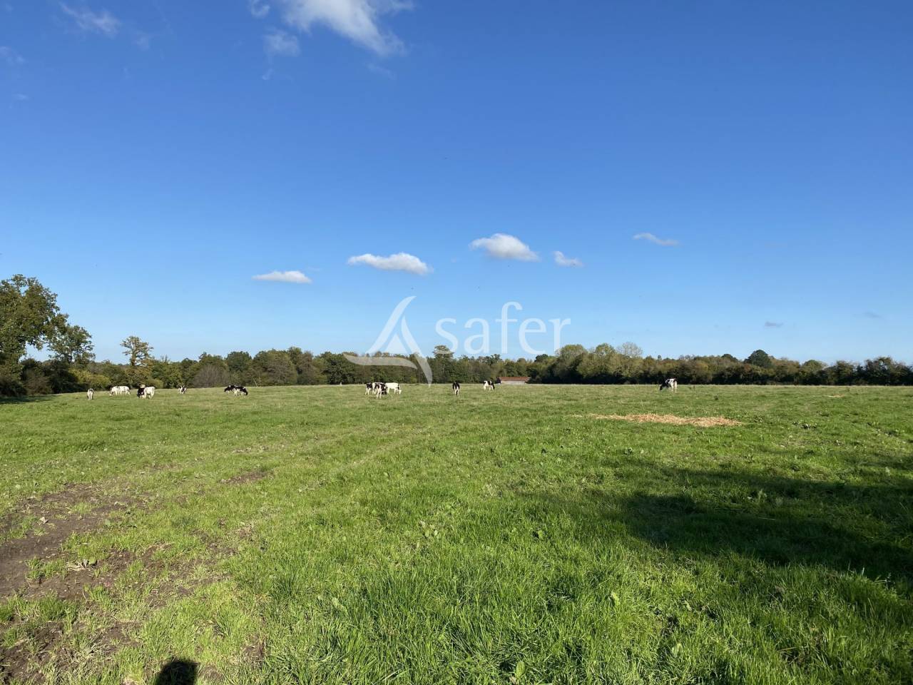 Pays d'Auge - Maison -14 ha de bois - 22,6 ha d'herbage.