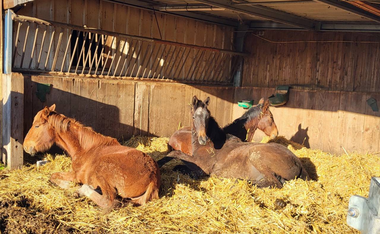 Pension pré / pension retraite  allier