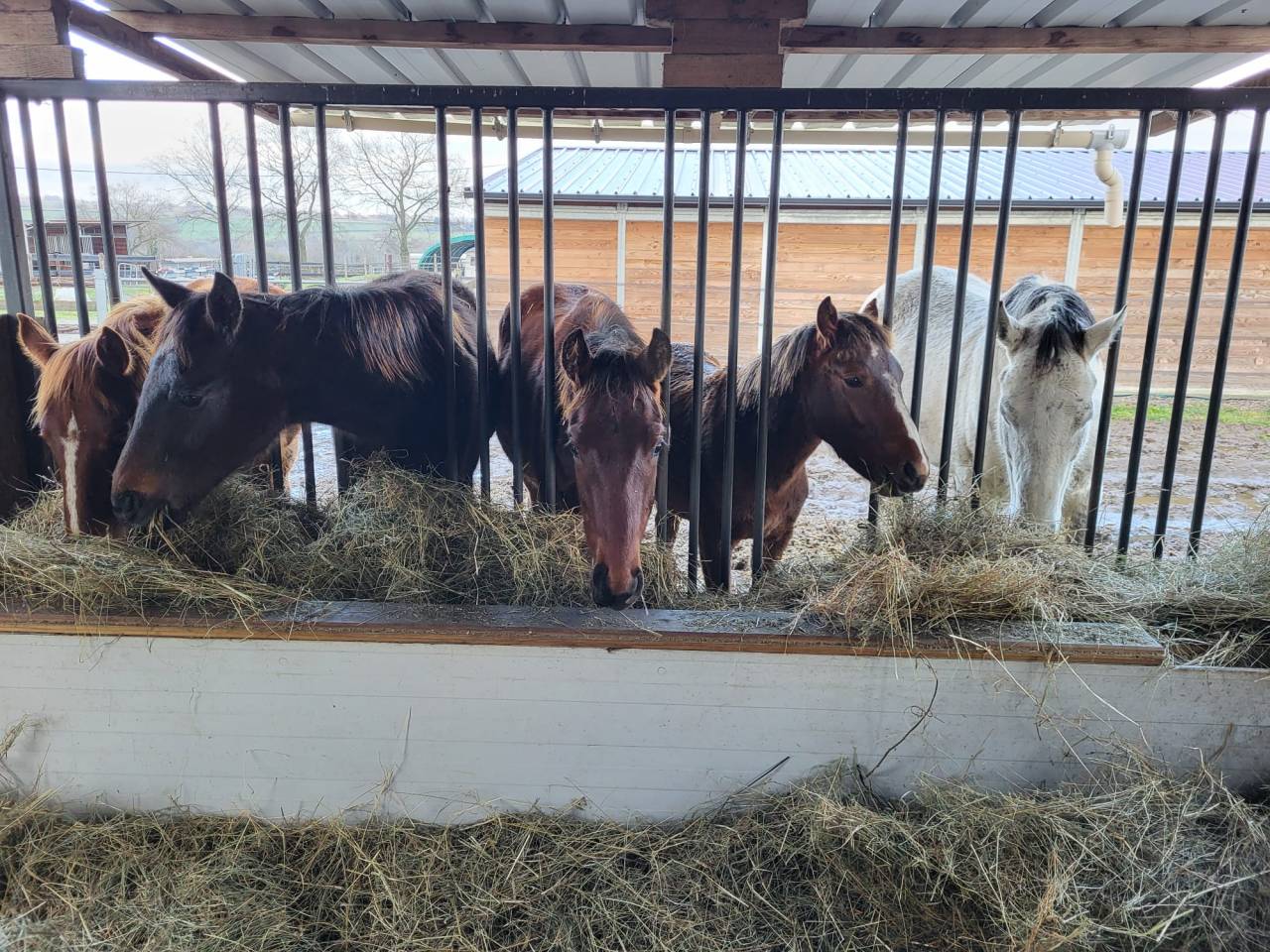 Pension pré / pension retraite  allier