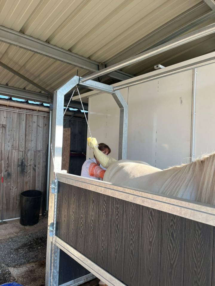 Pension pr&eacute;/retraite/ reproduction /insemination Allier