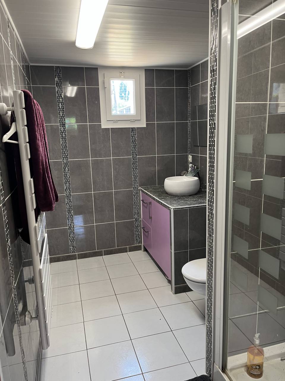 Propriété équestre voulangis 77580