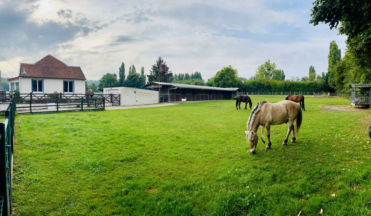 Propriété équestre voulangis 77580