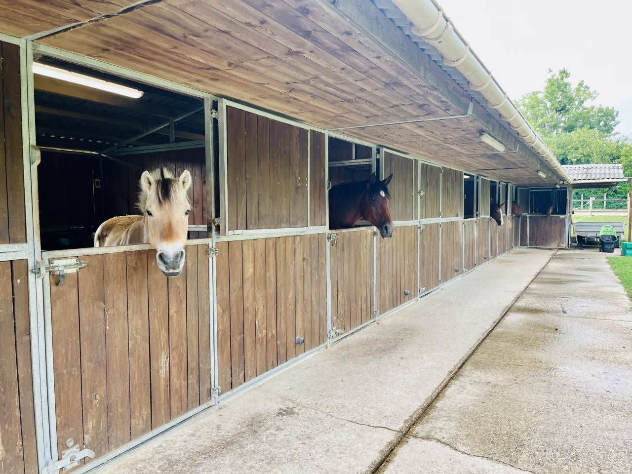 Propriété équestre voulangis 77580