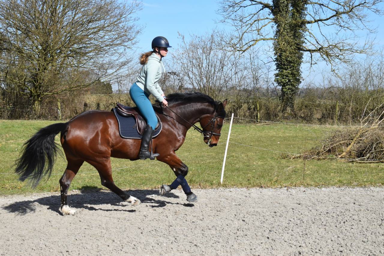 TOP Jument cso Children / amateur Elite