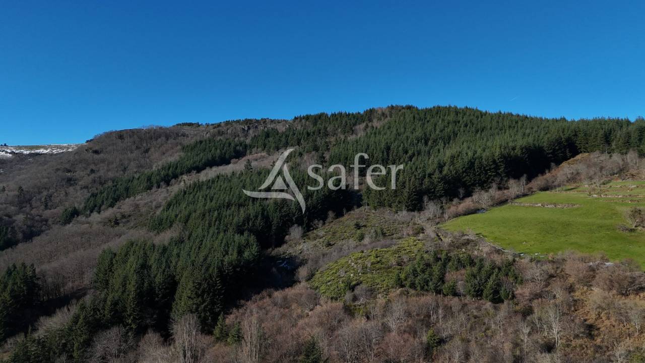 Domaine authentique - Monts d'Ard&egrave;che