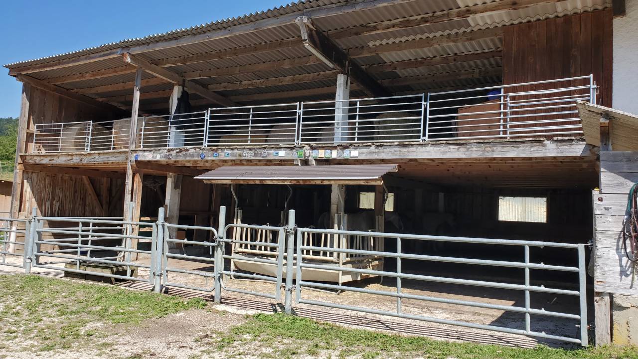 Pension chevaux - Ferme sur le Rang - Goumois (Suisse)