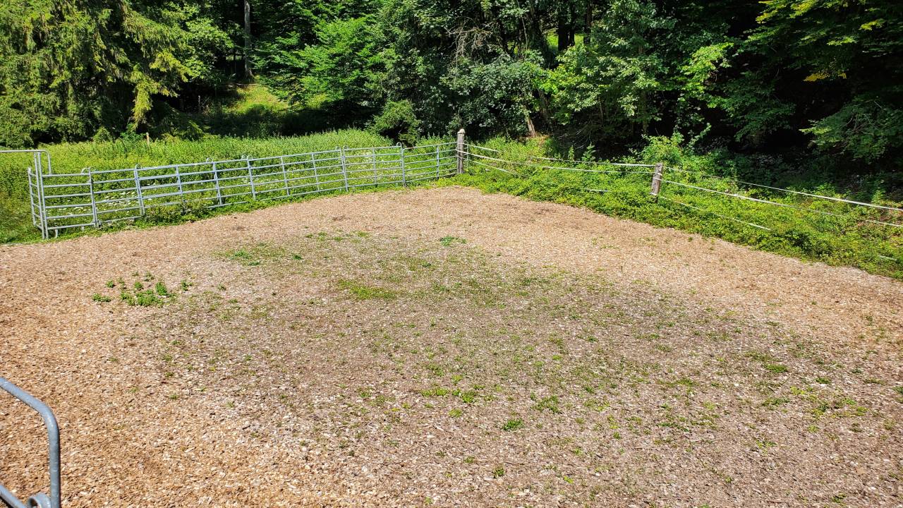 Pension chevaux - Ferme sur le Rang - Goumois (Suisse)