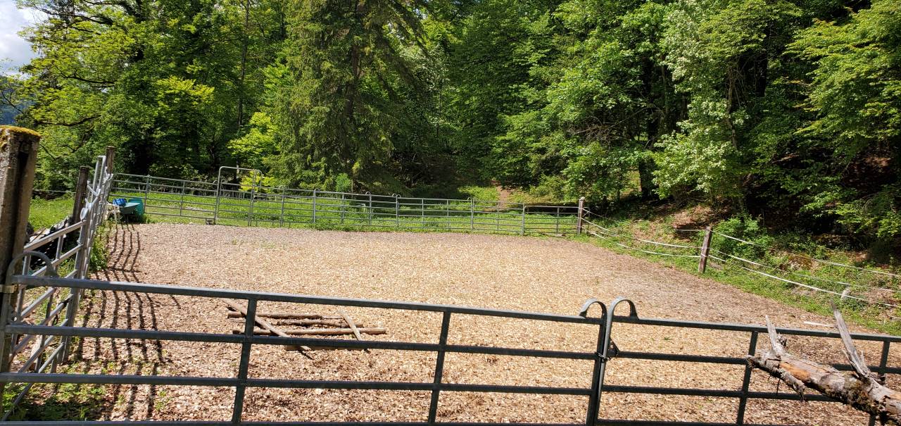 Pension chevaux - Ferme sur le Rang - Goumois (Suisse)